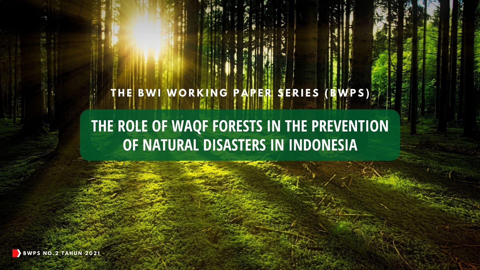 BWPS No.2 Tahun 2021 - The BWI Working Paper Series (BWPS)